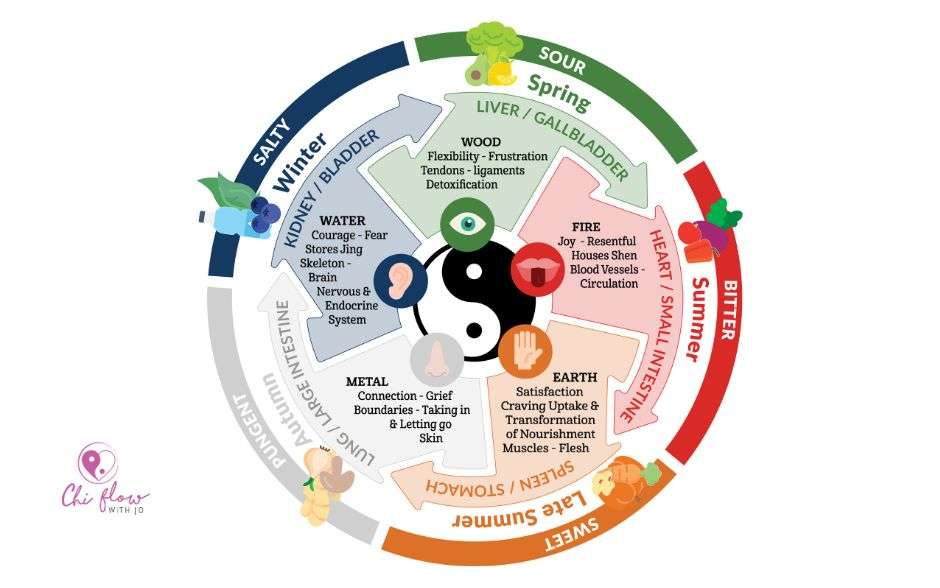Featured Practitioner with Shiatsu Society Ireland