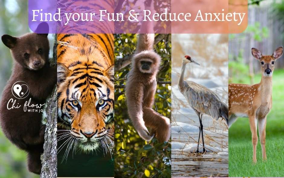 Find your Fun & Reduce Anxiety