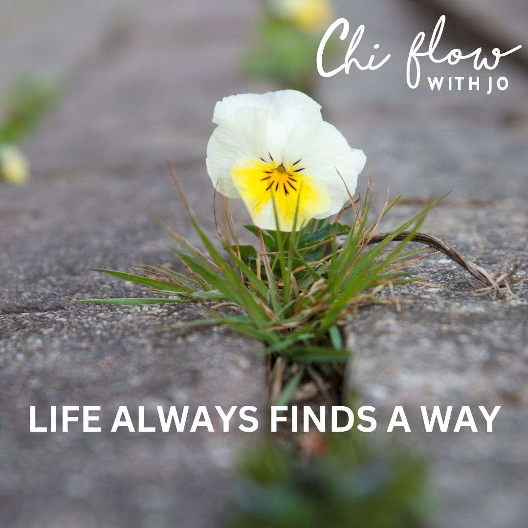 life finds a way