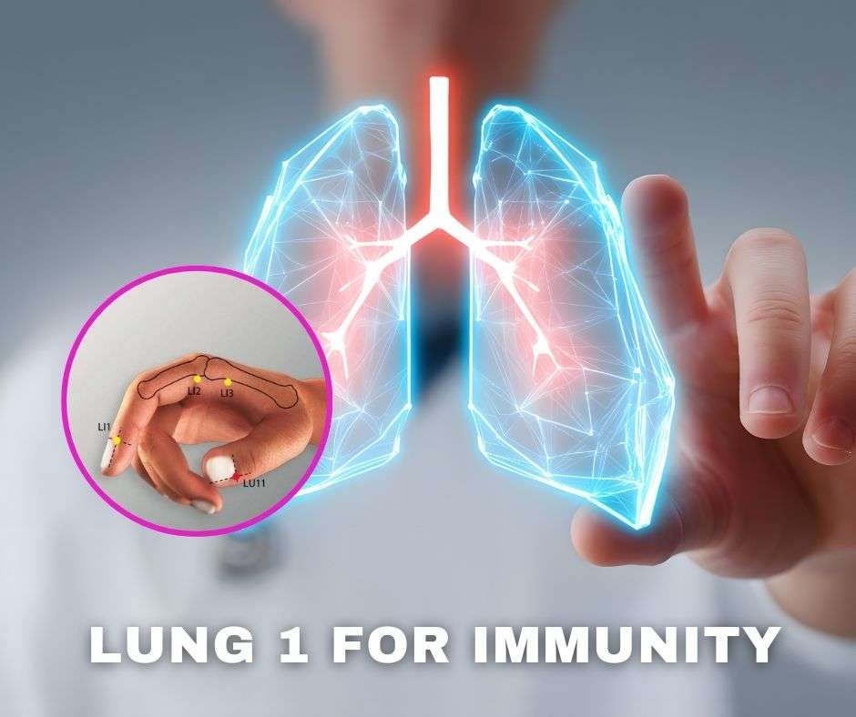 LUNG 1 (1)